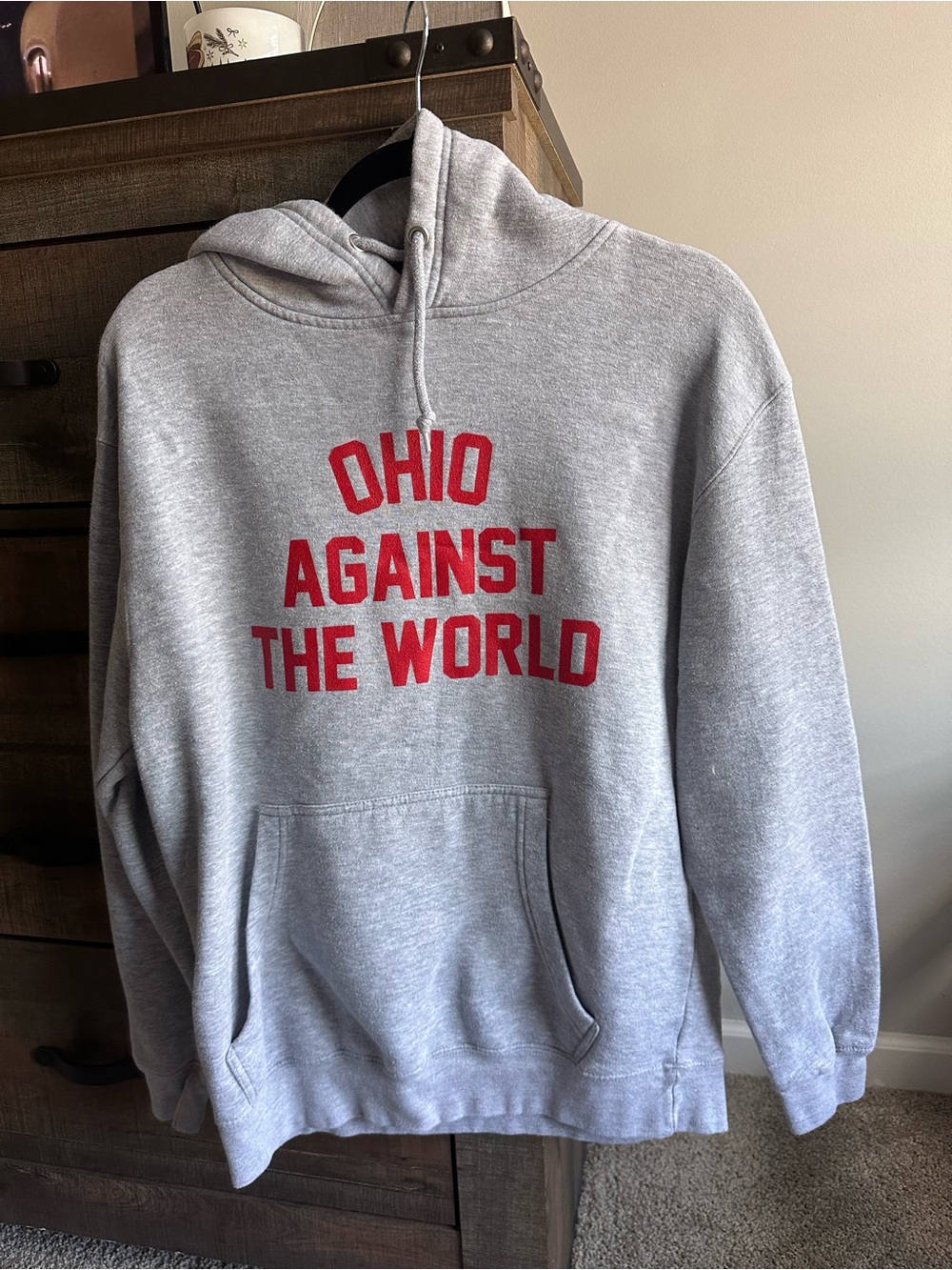 Gray Hoodie with Red "Ohio Against The World"